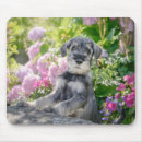 Recherche de chiot standard tapis souris Dog