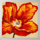Recherche de perroquet tropical posters Floral