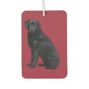 Recherche de animal familier voiture accessoires Chien