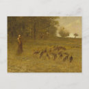 Recherche de poulailler cartes postales Troupeau