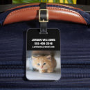 Recherche de de race bagages étiquettes Chaton