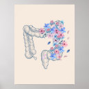 Recherche de intestin art Médecin