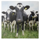 Recherche de appareil photo carreaux Regarder l'appareil photo