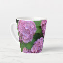 Recherche de hortensias tasses Pour tous