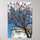 Recherche de arbre de branche posters Ciel bleu