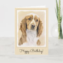 Recherche de springer spaniel vœux cartes Dog