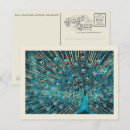 Recherche de beau paon cartes postales Bleu