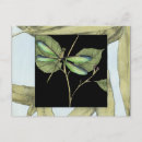 Recherche de libellules cartes postales Décoratif
