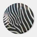 Recherche de rayures de zèbre magnets Noir et blanc