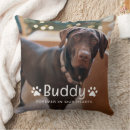 Recherche de pattes coussins Dogs