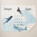 Recherche de baleine mignonne Orque