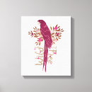 Recherche de ara art Faune
