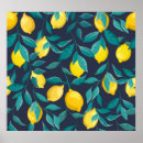 Recherche de citron posters Illustration