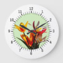 Recherche de tulipe horloges Flore