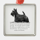 Recherche de mâle ornements Chiens