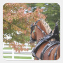 Recherche de chevaux belges autocollants Cheval