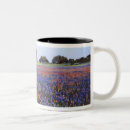 Recherche de texas bluebonnet tasses Printemps