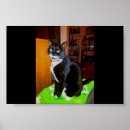 Recherche de girl posters Pretty