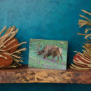 Recherche de wapiti plaques Taureau