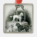 Recherche de whippet ornements Chien