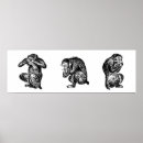Recherche de voyez posters Singes