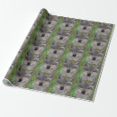 Recherche de loup sauvage papier cadeau Animal