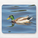 Recherche de oiseau standard tapis souris Printemps
