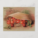 Recherche de corbeille fruits cartes postales Vintage