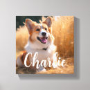 Recherche de chats impressions sur toile Pour elle