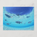 Recherche de station touristique cartes postales Fruits de mer