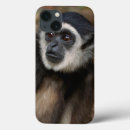 Recherche de monkey coques Animal