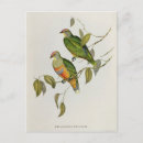 Recherche de john gould posters Anglais