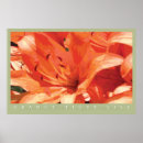 Recherche de orange tiger posters Nature
