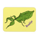 Recherche de insecte magnets Vert