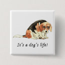 Recherche de beagle badges Mignon