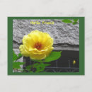 Recherche de jaunes cartes postales Ami(e)