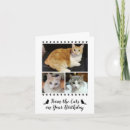 Recherche de anniversaire chien chat cartes invitations Amoureux des chats