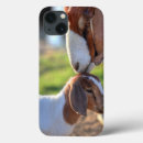 Recherche de foyer coques Jour