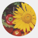Recherche de séchage autocollants Fleurs