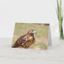 Recherche de queue rouge vœux cartes Animal