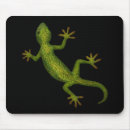 Recherche de geckos tapis souris Lézard