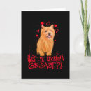 Recherche de norwich cartes postales Chiot