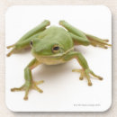 Recherche de grenouille dessous de verres Plan rapproché