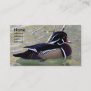 Recherche de canard en bois cartes visite Nature
