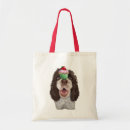 Recherche de petit chien sacs Animaux