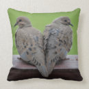 Recherche de colombe de deuil Birding