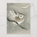 Recherche de longues oreilles cartes postales Hibou