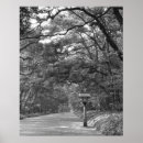Recherche de arbre noir et blanc posters Créatif