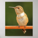 Recherche de allen photographie Nature
