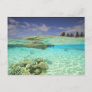 Recherche de tuba cartes postales Plage
